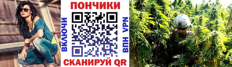 Купить  Орёл  Шишки марихуана индика 